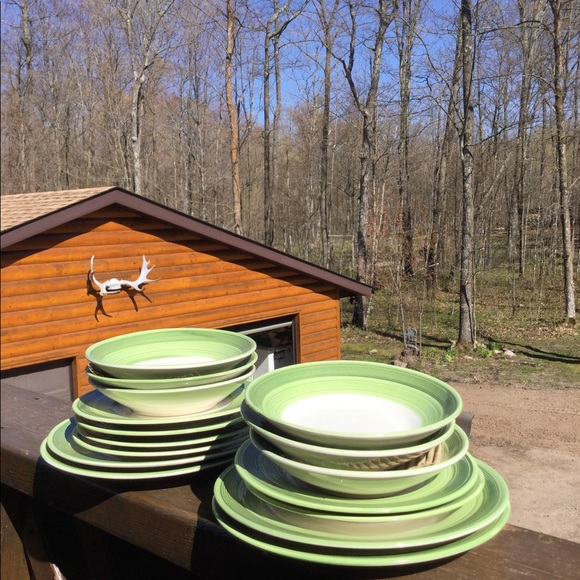 👋 Hand Painted Vintage Fern Imperial StoneWare DINNERWARE EVC - Picture 2 of 13